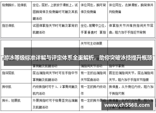 游泳等级标准详解与评定体系全面解析，助你突破泳技提升瓶颈